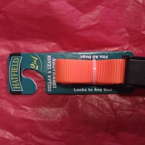 New Hatfield two and one collar and leash combination